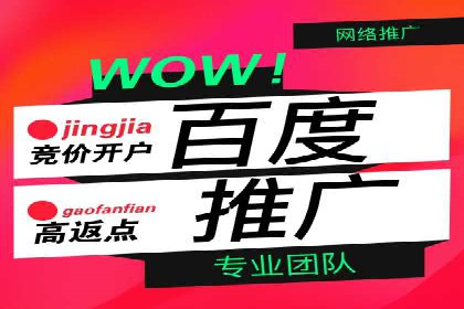 SEM代理服务：助力企业精准营销案例解析